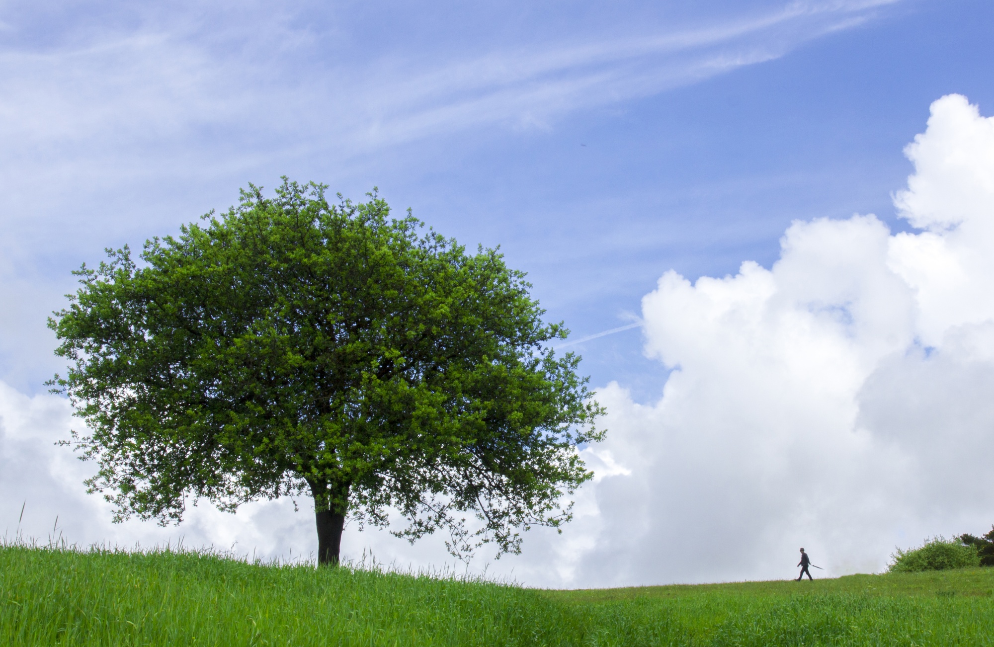 Aybastı Perşembe Yaylası